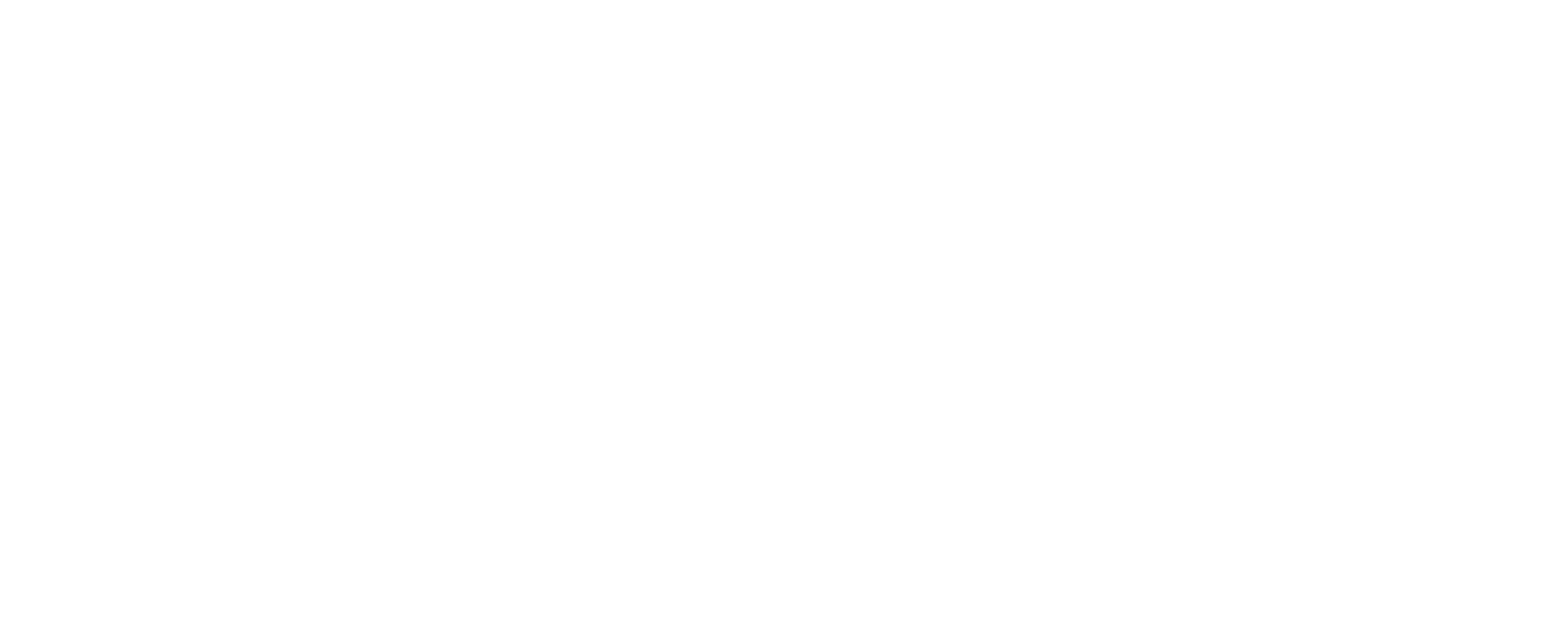 Somerset Council Logo